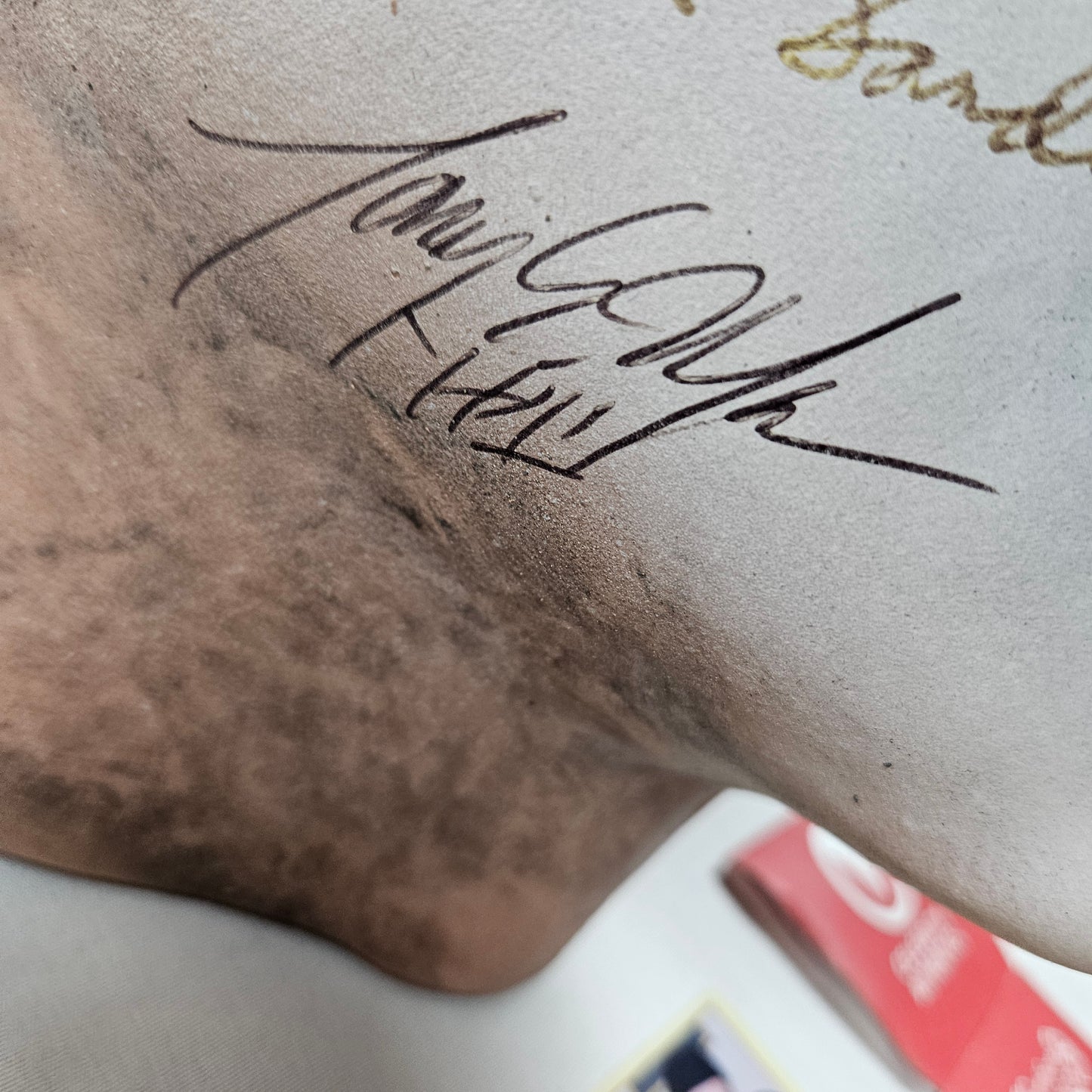Halloween Mask 7x Signatures