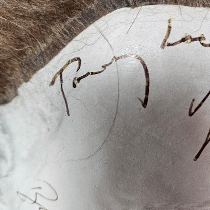 Halloween Mask 7x Signatures