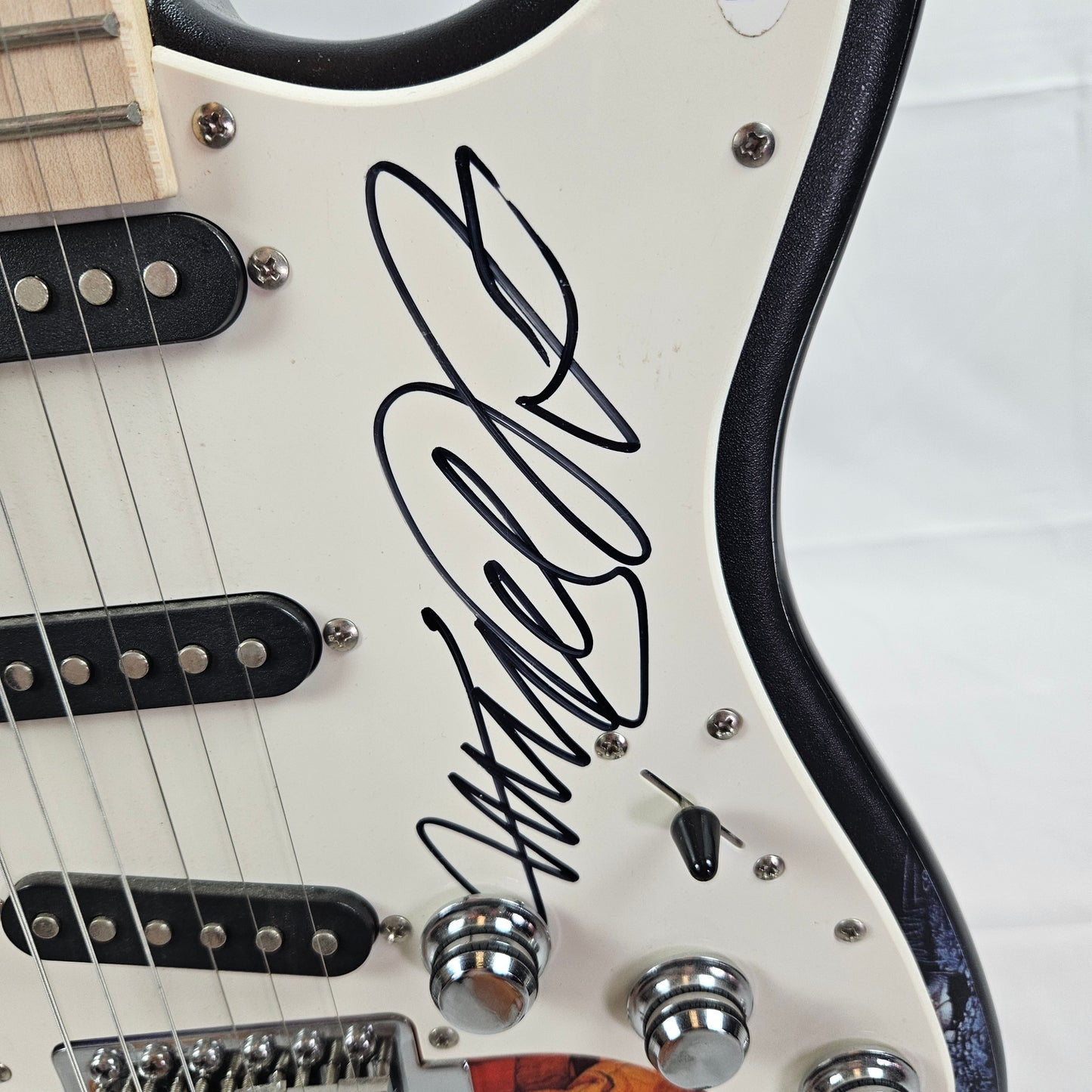 Michael  J. Fox, Tom Wilson, & Christopher Lloyd Back to The Future Custom Skinned Guitar Signed