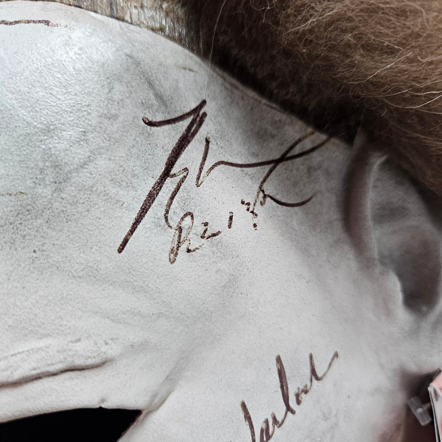 Halloween Mask 7x Signatures
